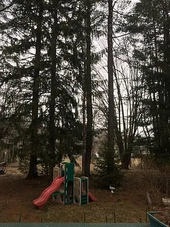 Park-like back yard! - 31 Perimeter Rd