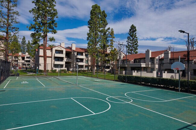 Sports Courts