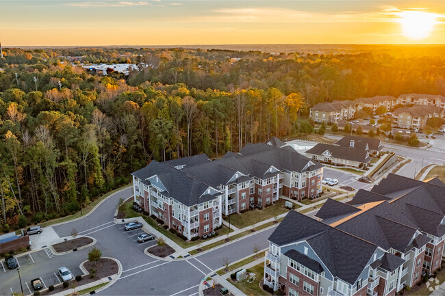 Aerial - Palisades at Wake Forest Rental