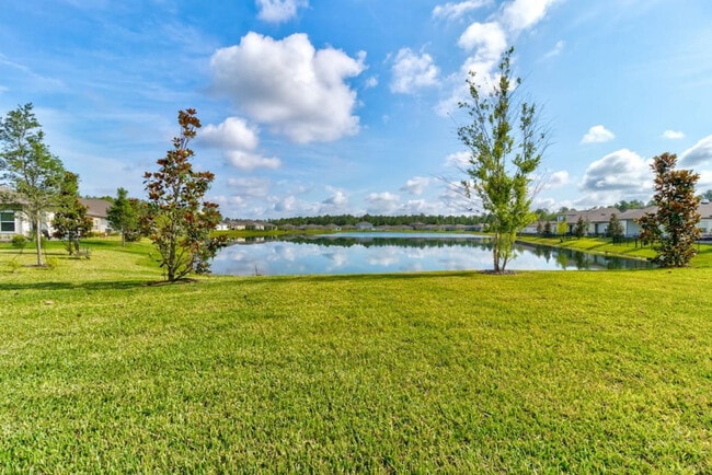 Photo - 509 Falcon Ridge Rd