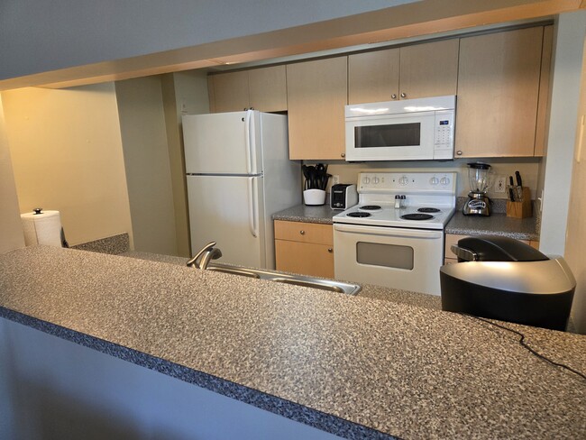 Kitchen - 1235 Reserve Way Unit 104