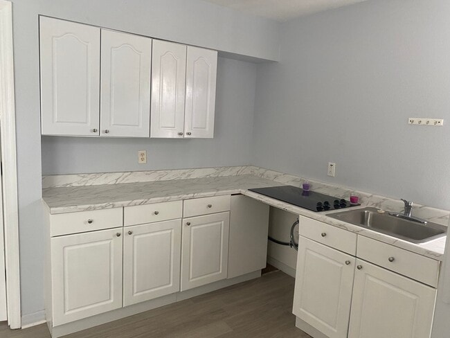 Photo - 1335 Washington Palm Loop Unit 1335 Washington palm cir  #A by owner