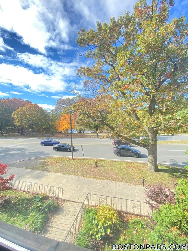 Photo - 70 Jamaicaway Unidad 10