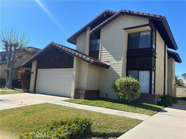 Photo - 8 Marsh Hawk