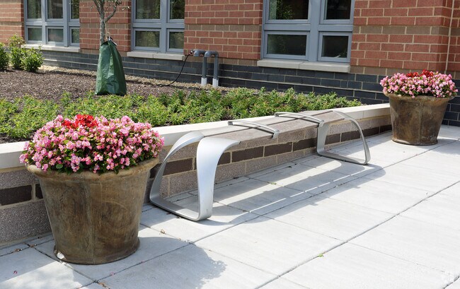 Photo - Jackson Crossing