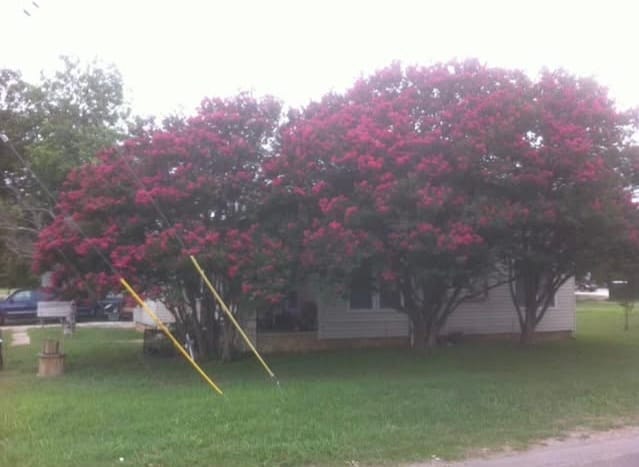 Photo - 602 3rd St Unit Apt 1