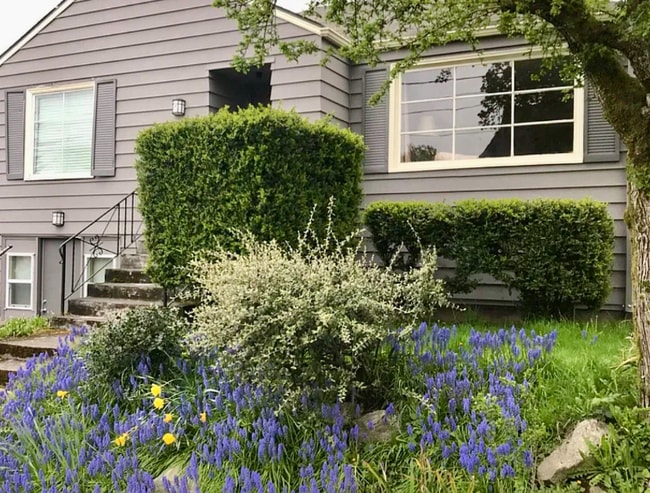 Photo - 6306 4th Ave NE Casa