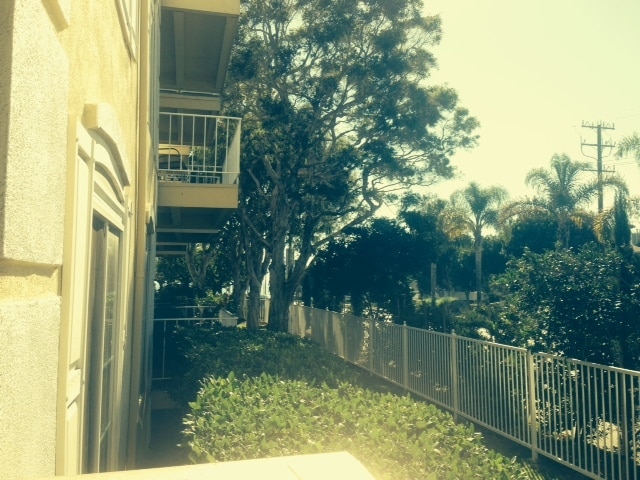 Building Photo - 500 Cagney Ln Unit 109