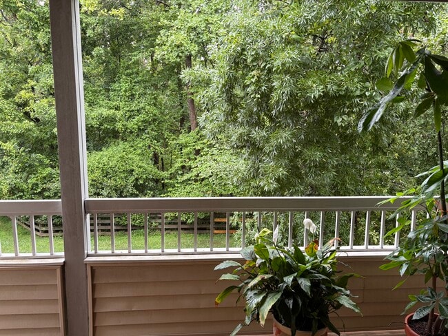 Face to woods - 113 Cascade Ct Unit 6