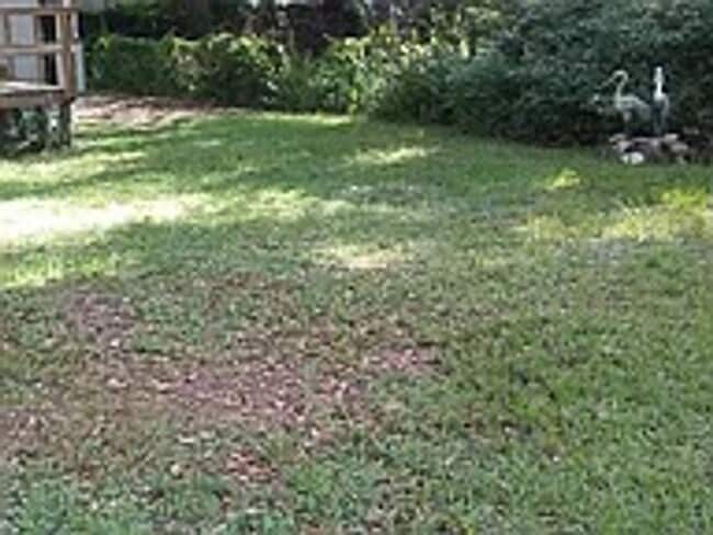 Photo - 20909 SE 157th St