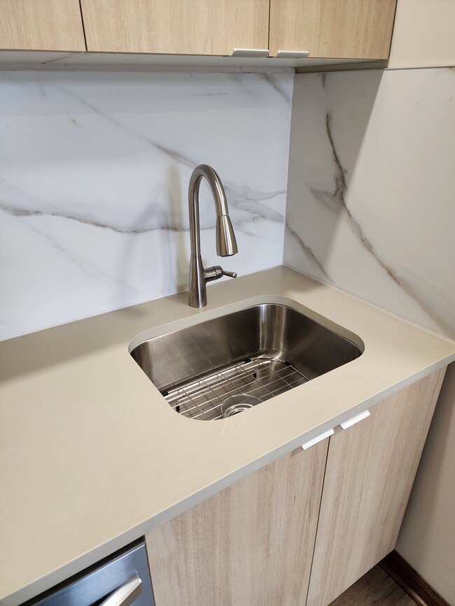 Deep sink - 2155 W Polk St Unit 2