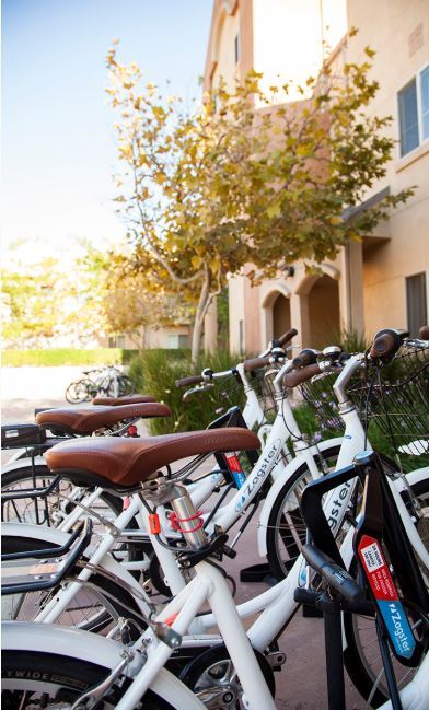 Bike Rentals