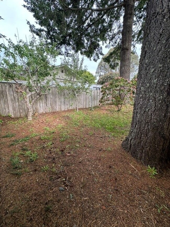 Photo - 805 Cameo Ct