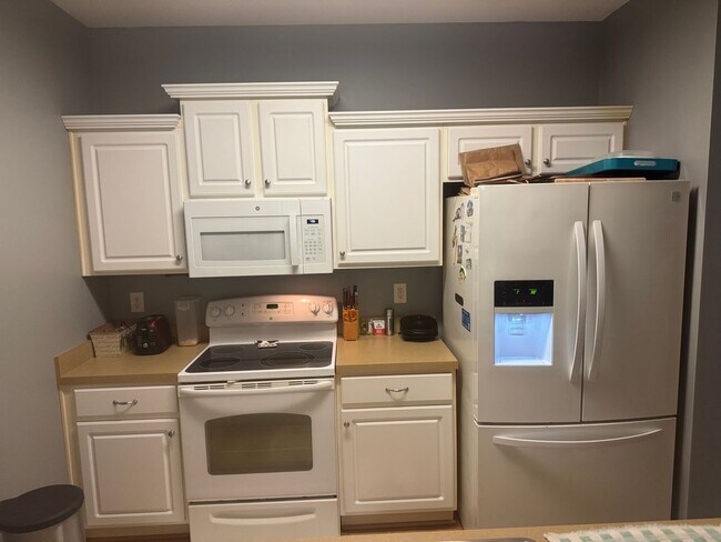 Photo - Braemar Creek