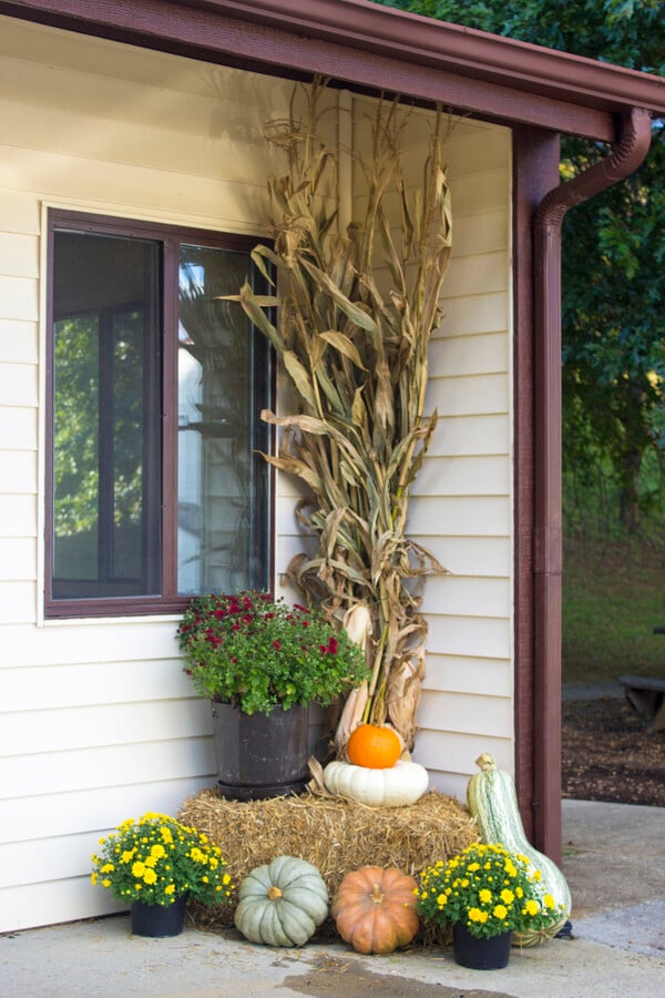 Photo - Glendale Apartments