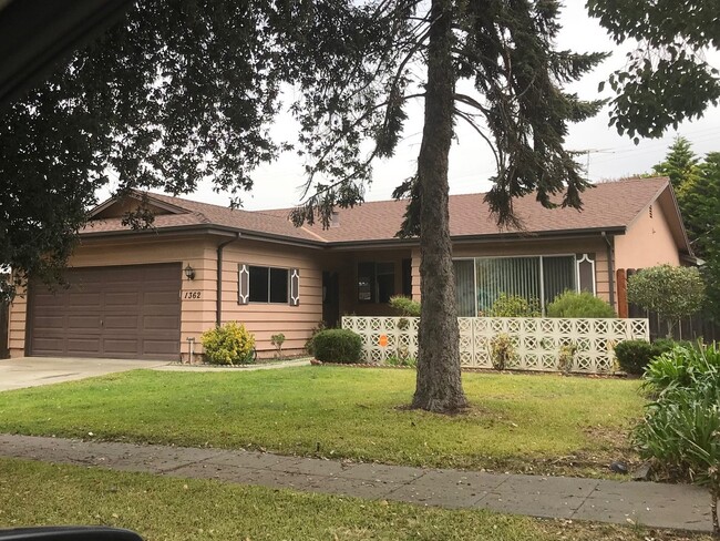 Home adjacent to park with new paint and n... - Home adjacent to park with new paint and n...