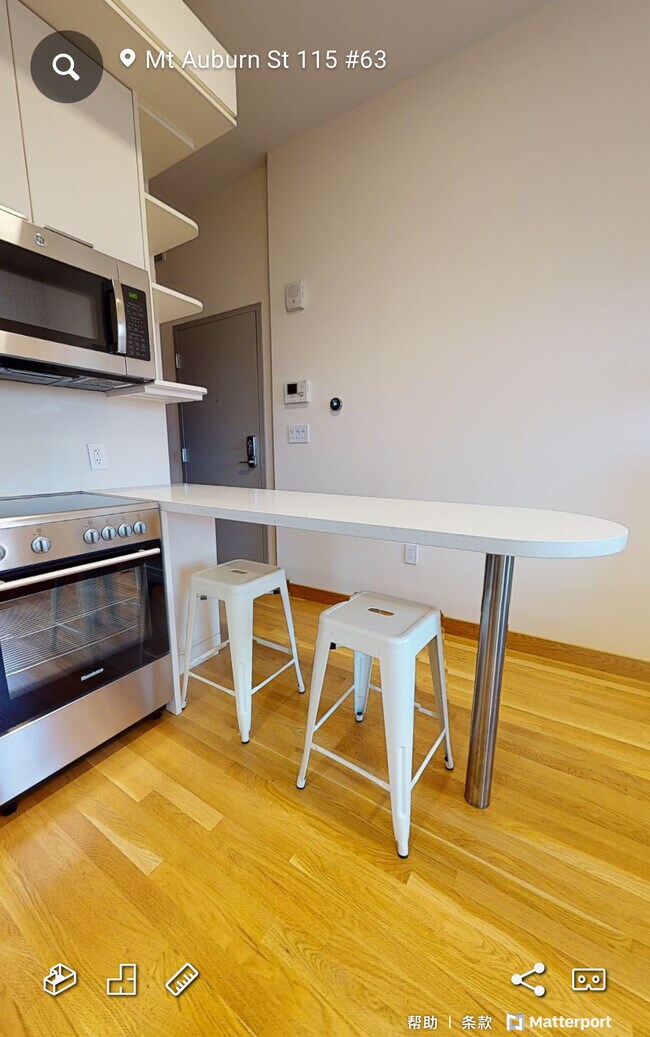 Photo - 119 Mount Auburn St Unit 63