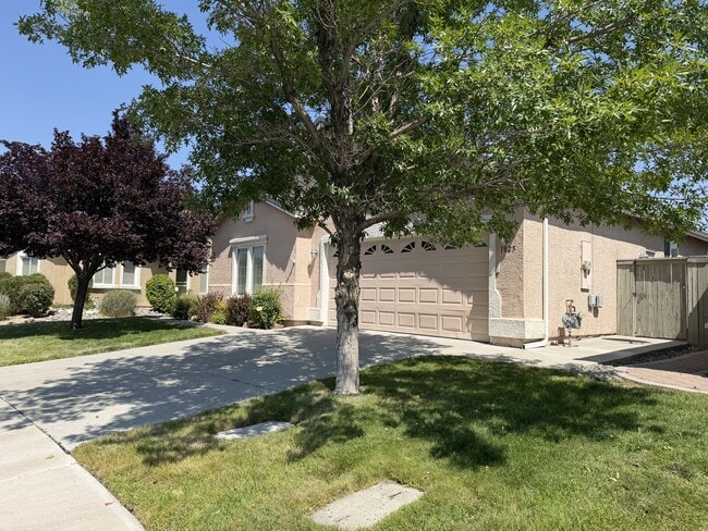 Building Photo - 1825 D'Arques Ct