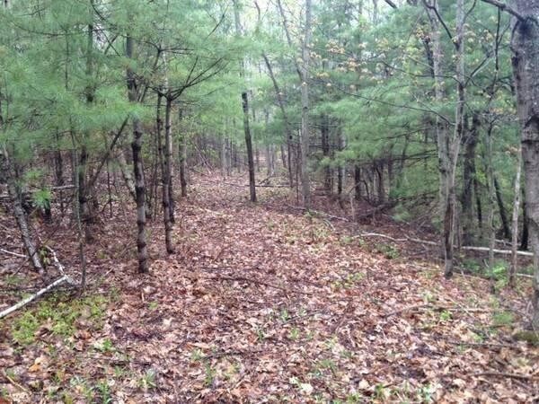 Photo - 313 River Rd Apartments Unit 2