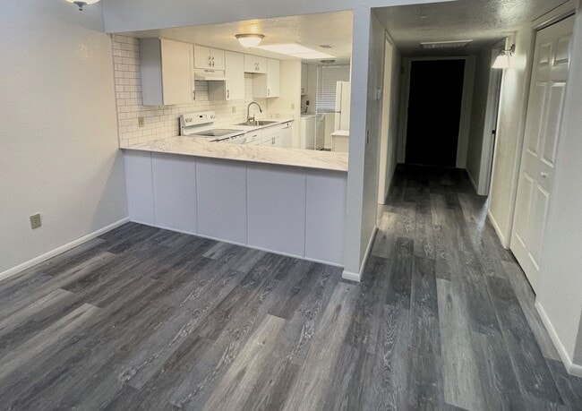 Photo - TOWNHOME - WILD TURKEY