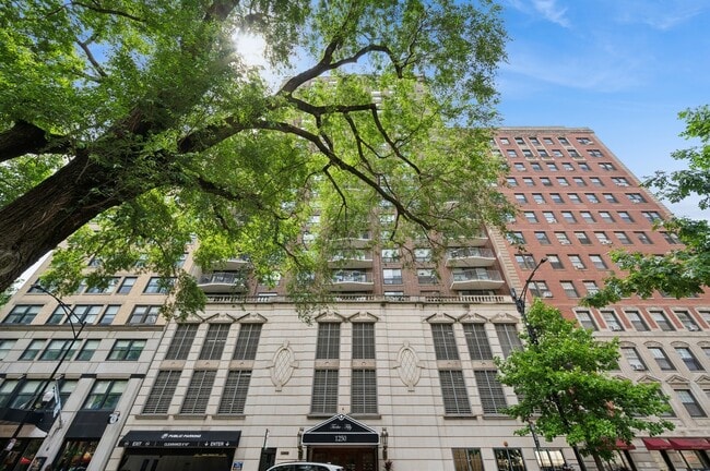 Building Photo - 1250 N Dearborn St Rental