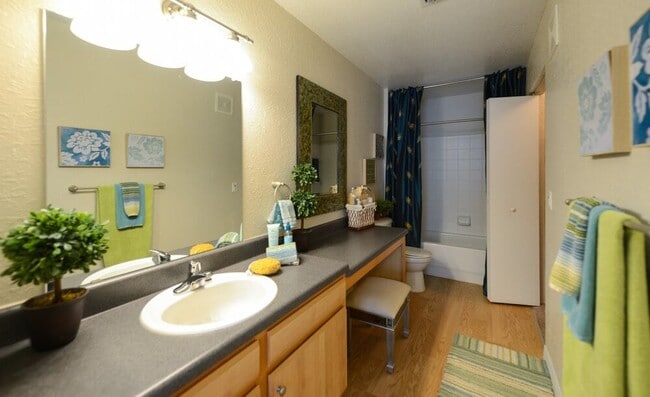 Photo - Addison Landing