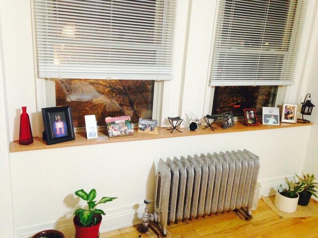 Living Room windows face King Drive - 3642 S King Dr Unit 3