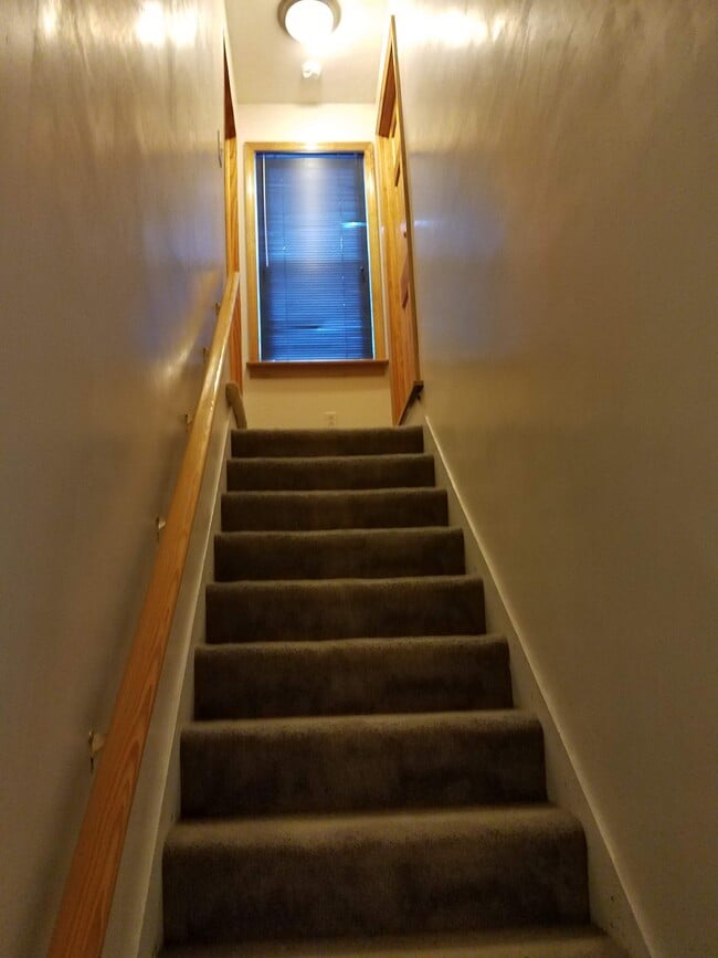 311 Crawford Run Rd