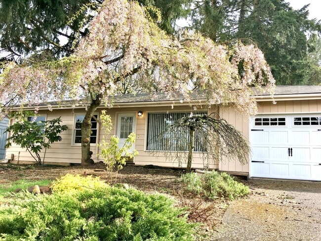 Photo - Wilkes Neighborhood Classic Ranch on Huge Lot with Nicely Finished Basement