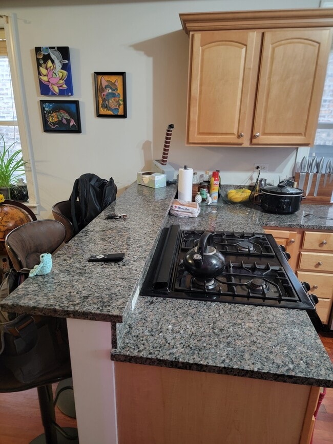 7627 N Greenview Ave Unit 2E