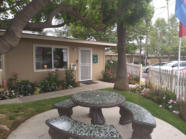 Photo - Pacifica Palms Apartments