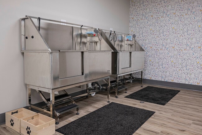 Pet washing station