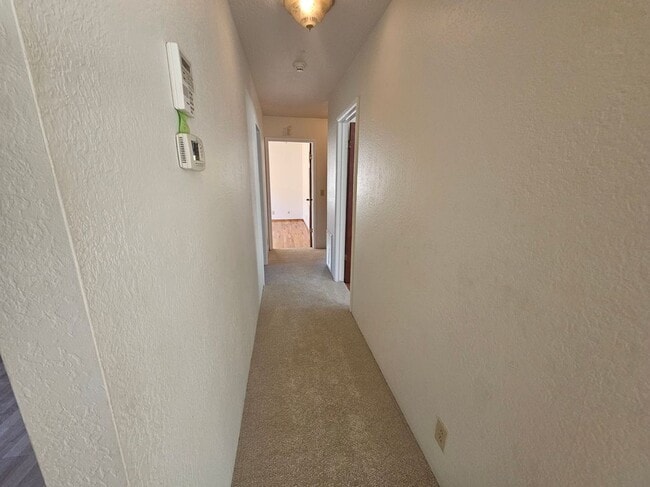 Photo - 4160 Williams St