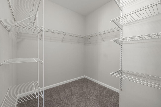 Level at 401 apartments — community photo