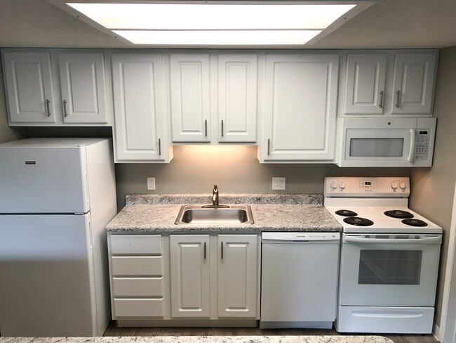 Upgraded 1BR Kitchen 1 - Tabor Ridge