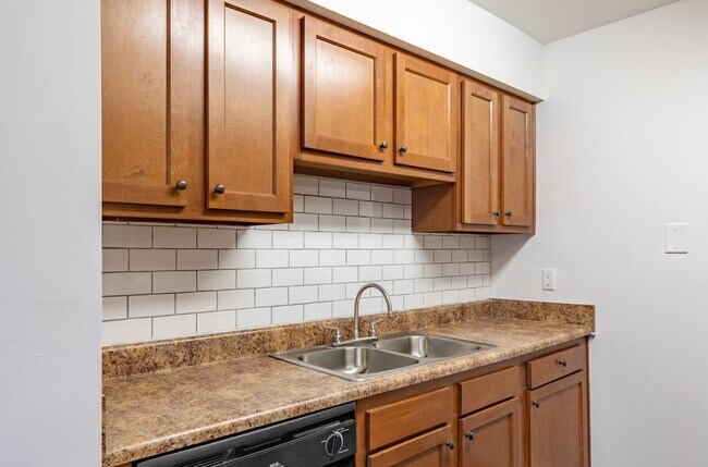 Village at Panther Creek Apartments