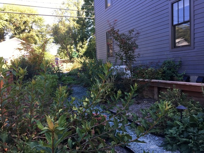 Side yard - 318 Oak Street
