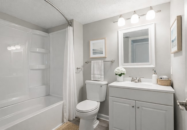 Modern bathroom with neutral tones - Lexington Springs Apartments