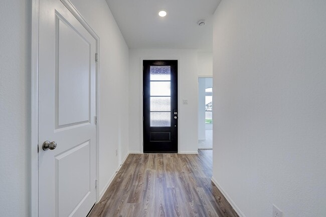 Photo - 10903 Water Hyssop Ln