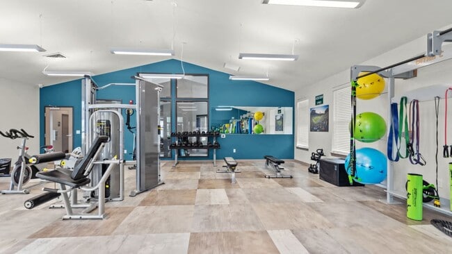 Expansive Gym