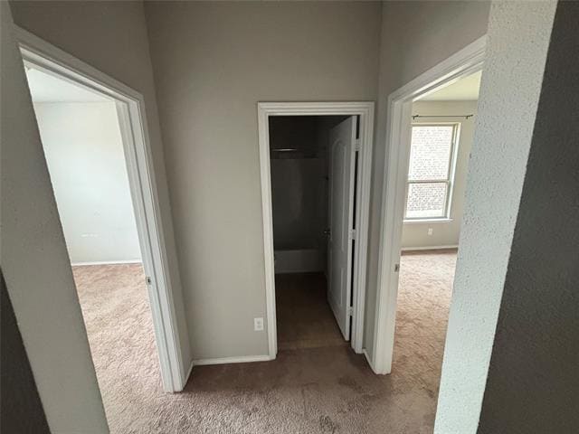 Photo - 10636 Hartley Ln