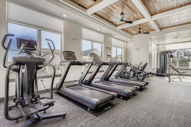 El centro de fitness Gallery