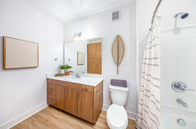 LVT Flooring