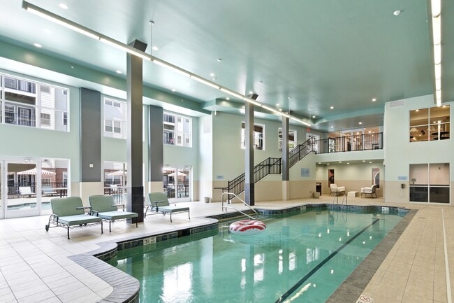 The Alexander