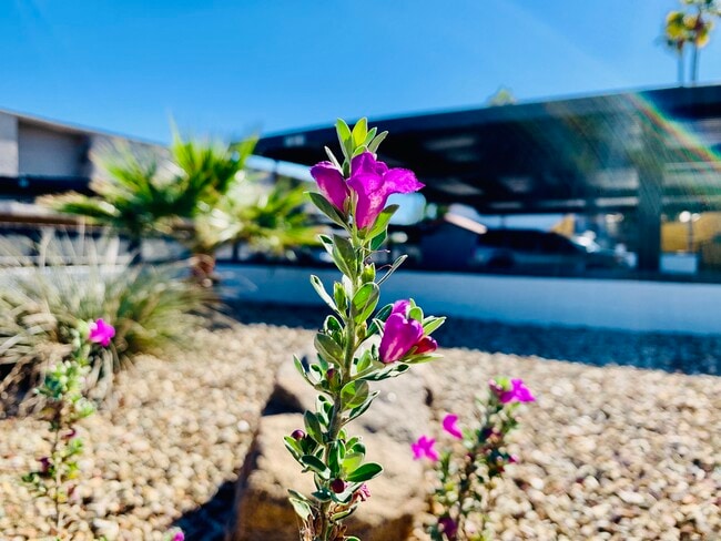 Photo - Aurora Villas