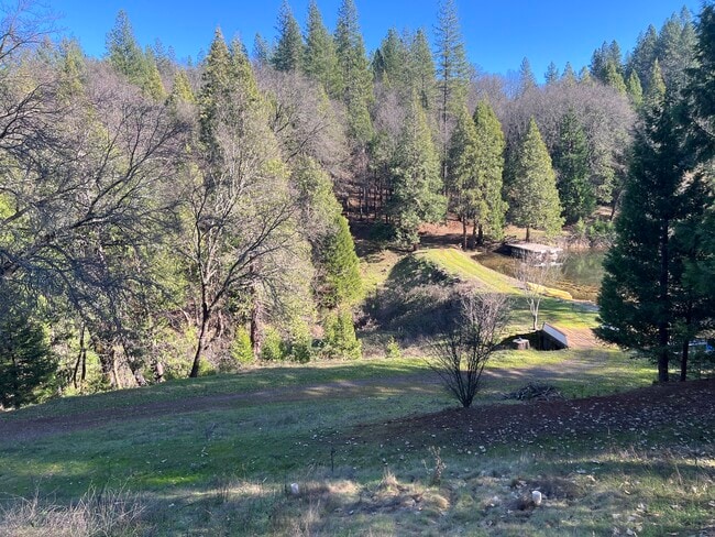 Photo - 10653 Douglas Ln