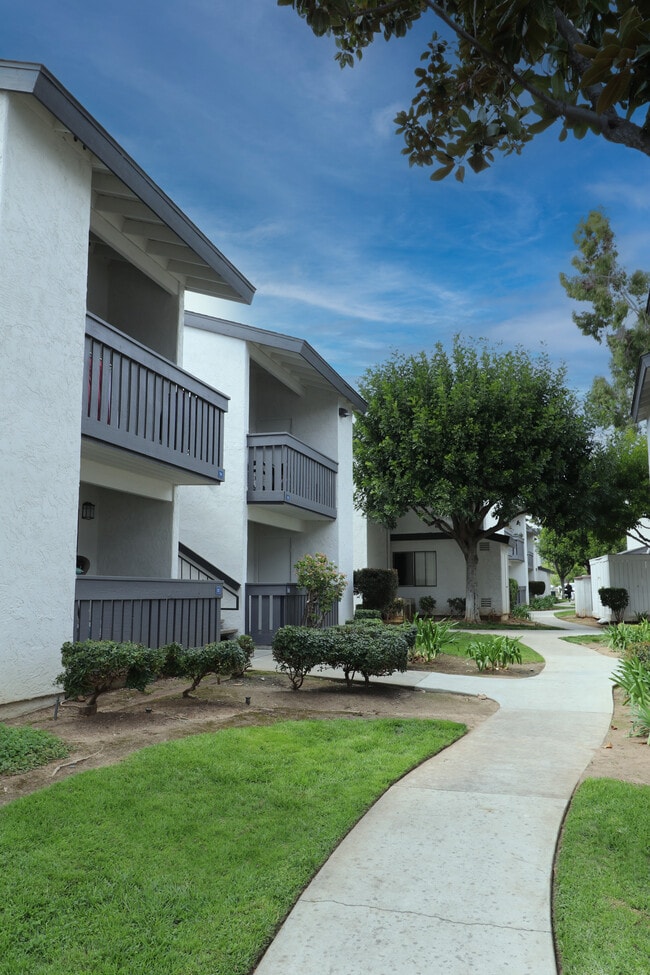 Birchmont