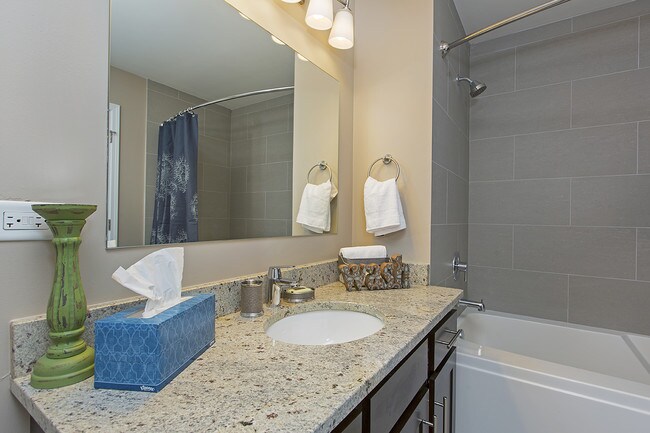 The Shelby Apartments For Rent in Chicago, IL