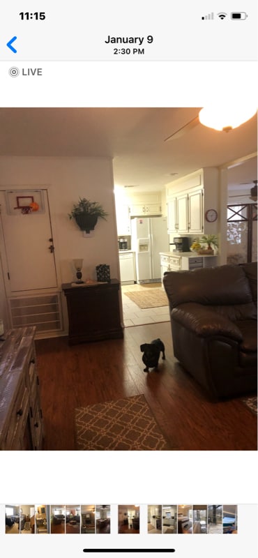 Photo - 4241 Springhill Dr