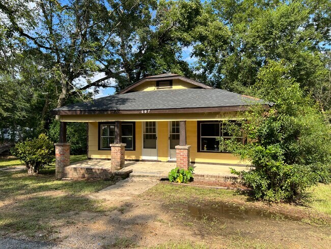 Street View - 607 John D Shaw St